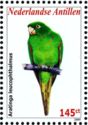 White-eyed Parakeet (Aratinga leucophthalmus)